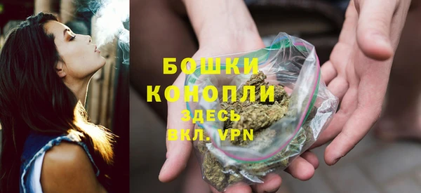 альфа пвп Гусиноозёрск