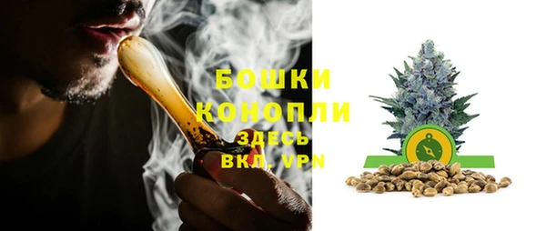 альфа пвп Гусиноозёрск