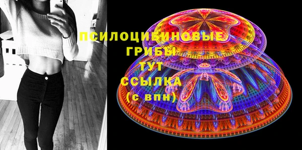 альфа пвп Гусиноозёрск