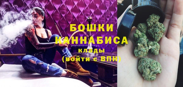 альфа пвп Гусиноозёрск
