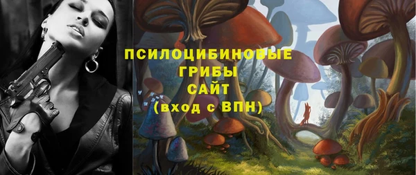 прущий лед Гусь-Хрустальный