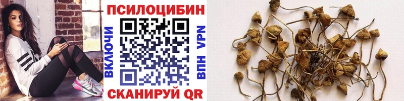 Псилоцибиновые грибы Psilocybe  закладка  МЕГА ссылки  Москва 